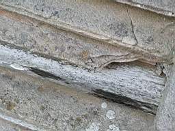 stcronans 4835.jpg